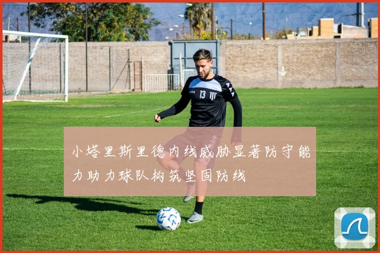 小塔里斯里德内线威胁显著防守能力助力球队构筑坚固防线