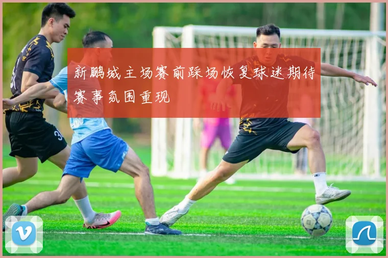 新鹏城主场赛前踩场恢复球迷期待赛事氛围重现